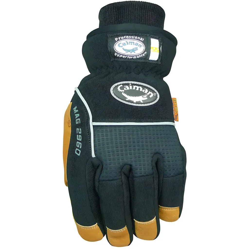 Caiman 2960-5 Multi-Activity Glove with Pig Grain Leather Padded Palm and Waterproof Back - Heatrac Insulated