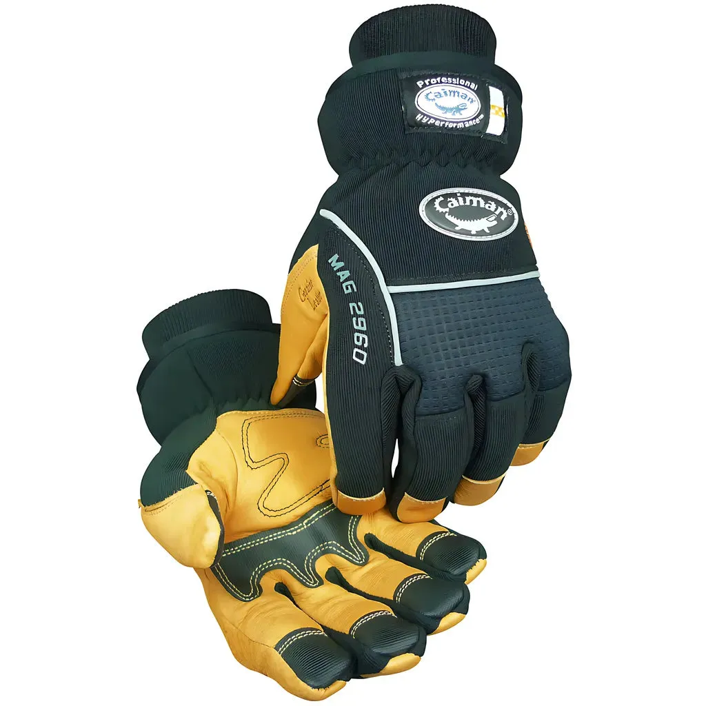 Caiman 2960-5 Multi-Activity Glove with Pig Grain Leather Padded Palm and Waterproof Back - Heatrac Insulated