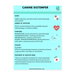 Canine Distemper Poster 18x24