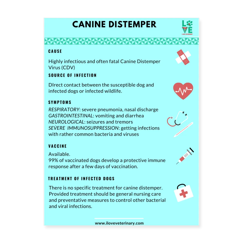 Canine Distemper Poster 18x24