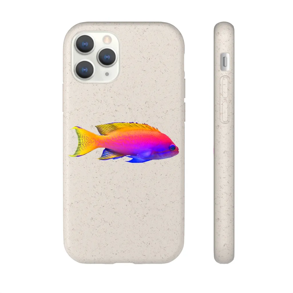 Colored Fish Biodegradable Case