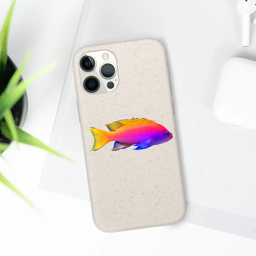 Colored Fish Biodegradable Case