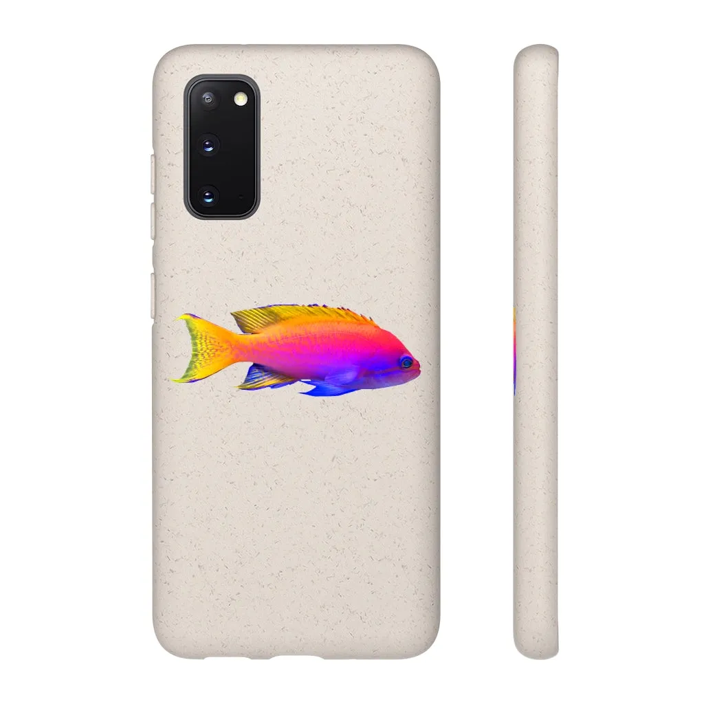 Colored Fish Biodegradable Case