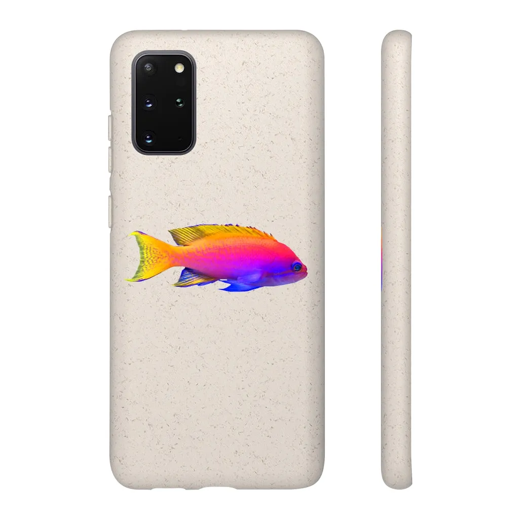 Colored Fish Biodegradable Case