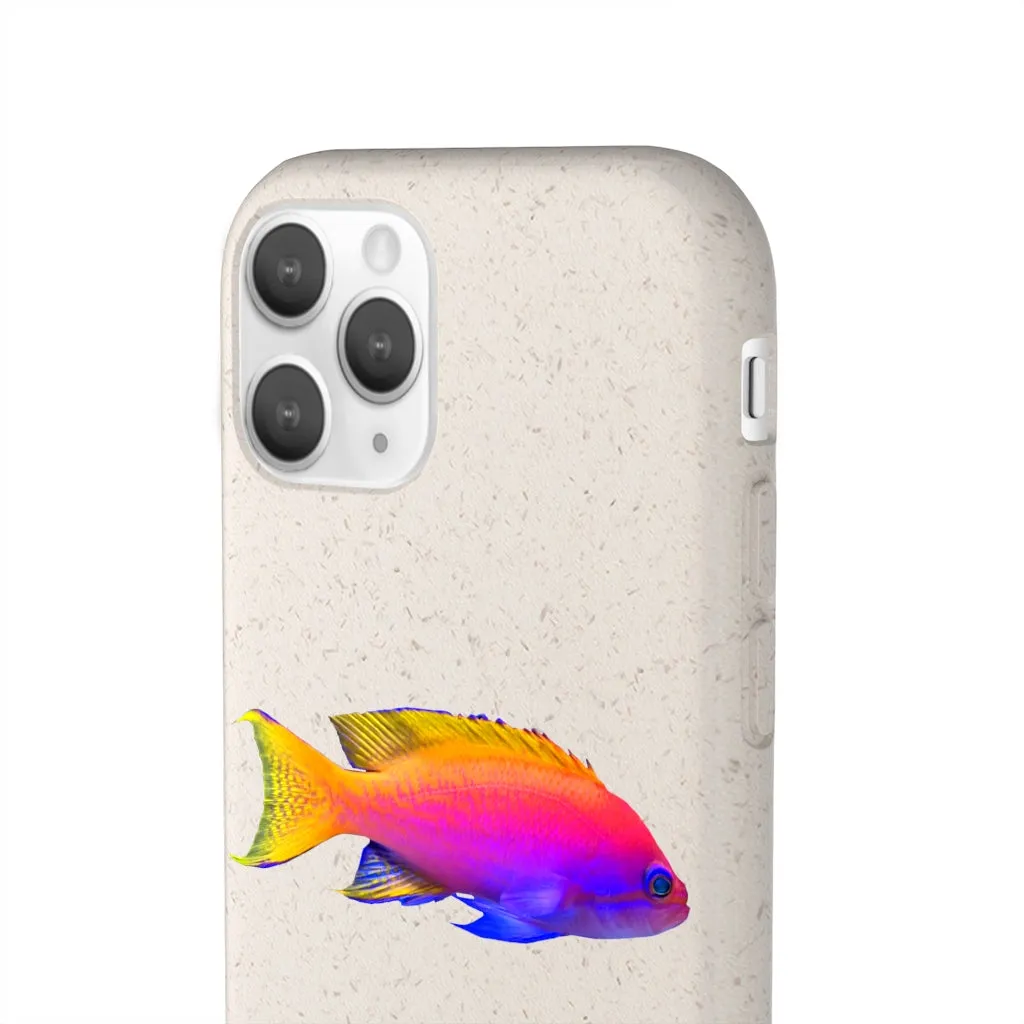 Colored Fish Biodegradable Case