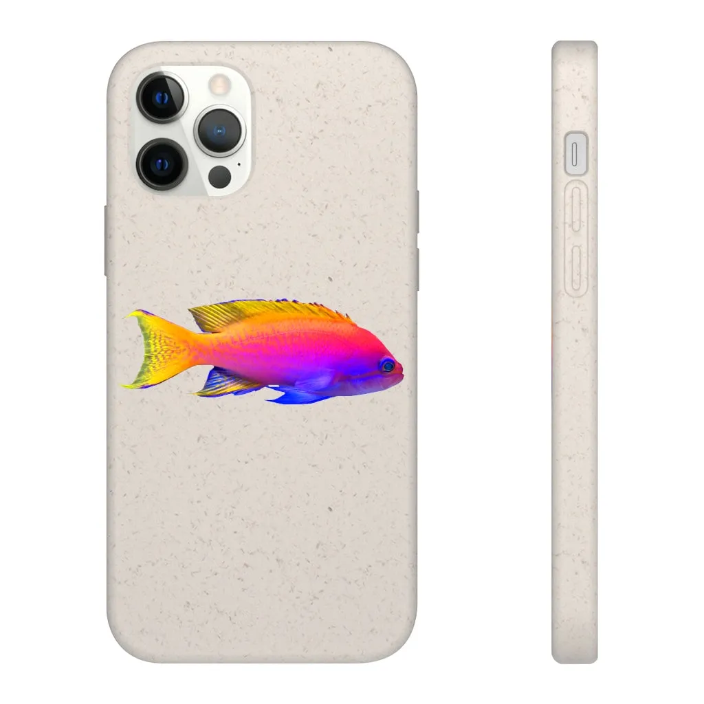 Colored Fish Biodegradable Case