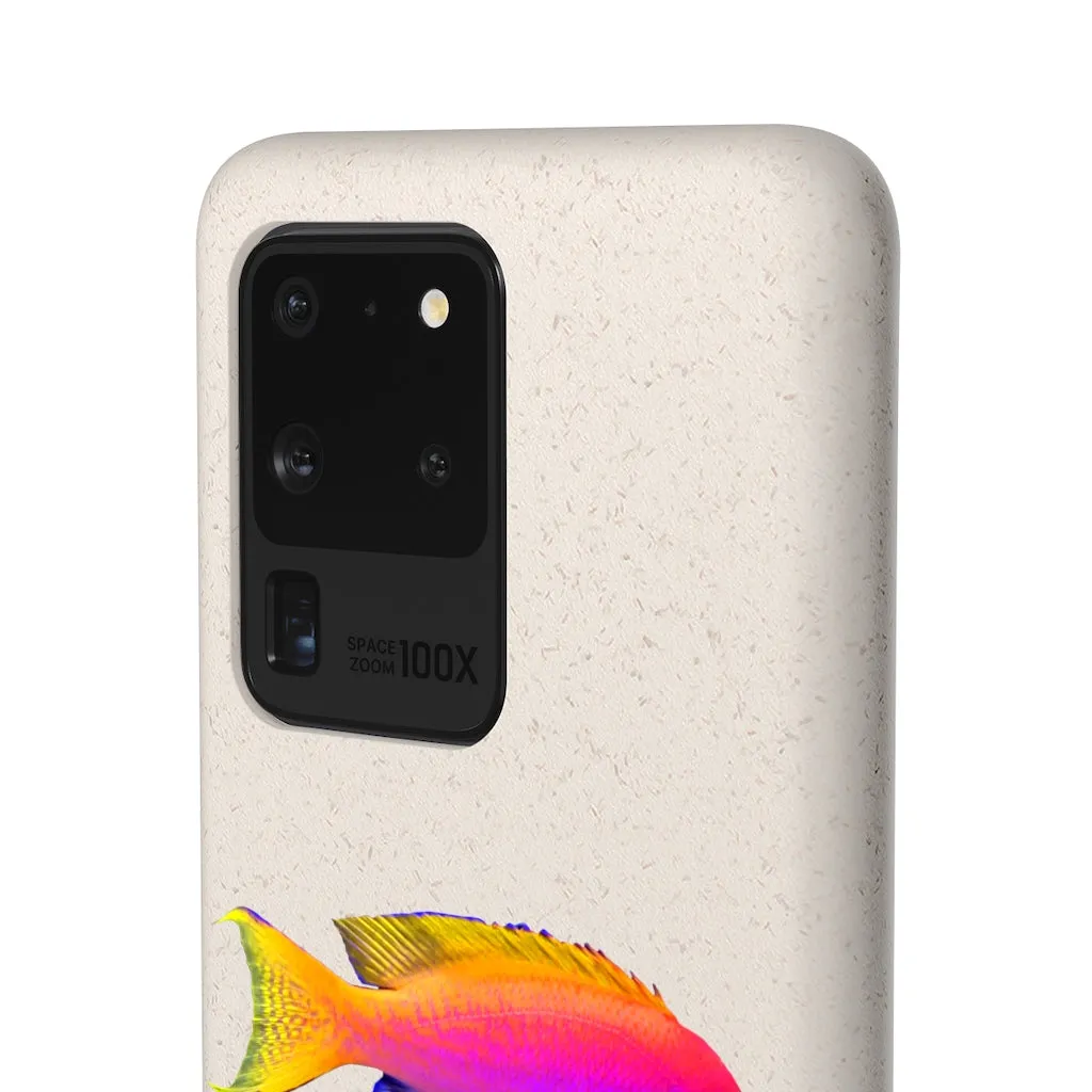 Colored Fish Biodegradable Case