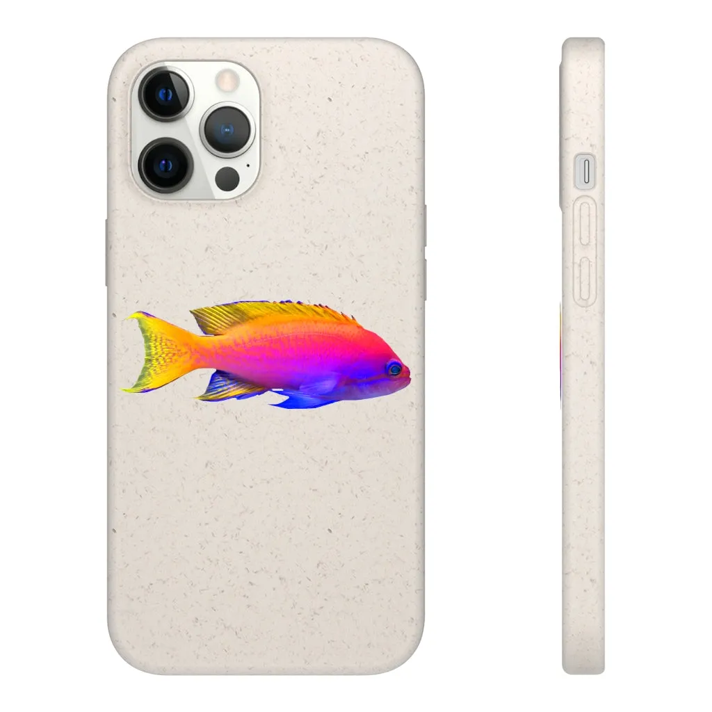 Colored Fish Biodegradable Case