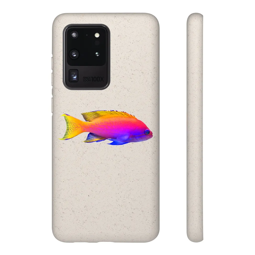 Colored Fish Biodegradable Case