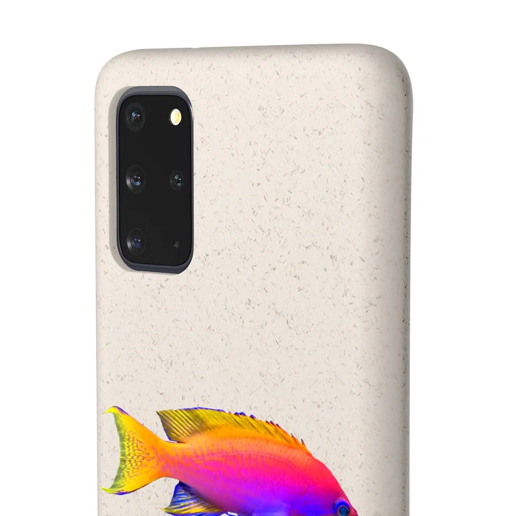 Colored Fish Biodegradable Case