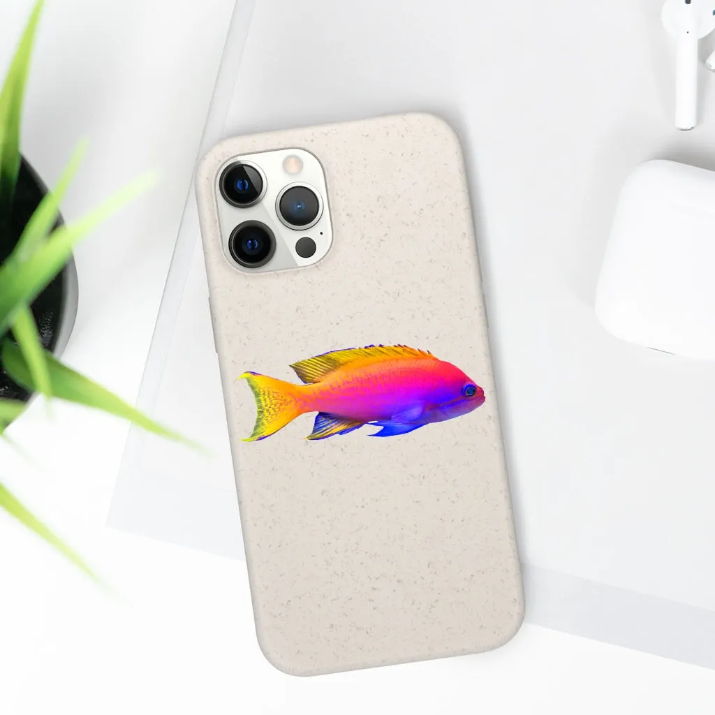 Colored Fish Biodegradable Case