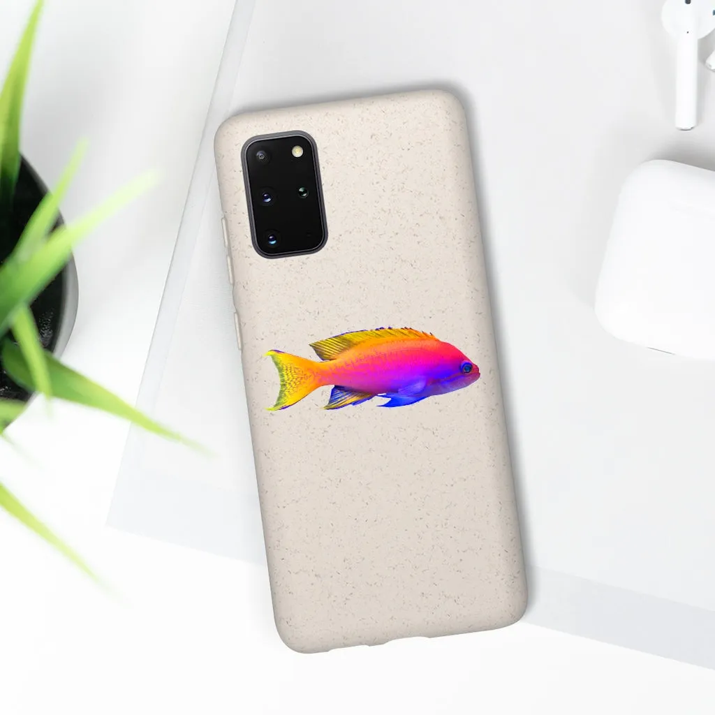 Colored Fish Biodegradable Case