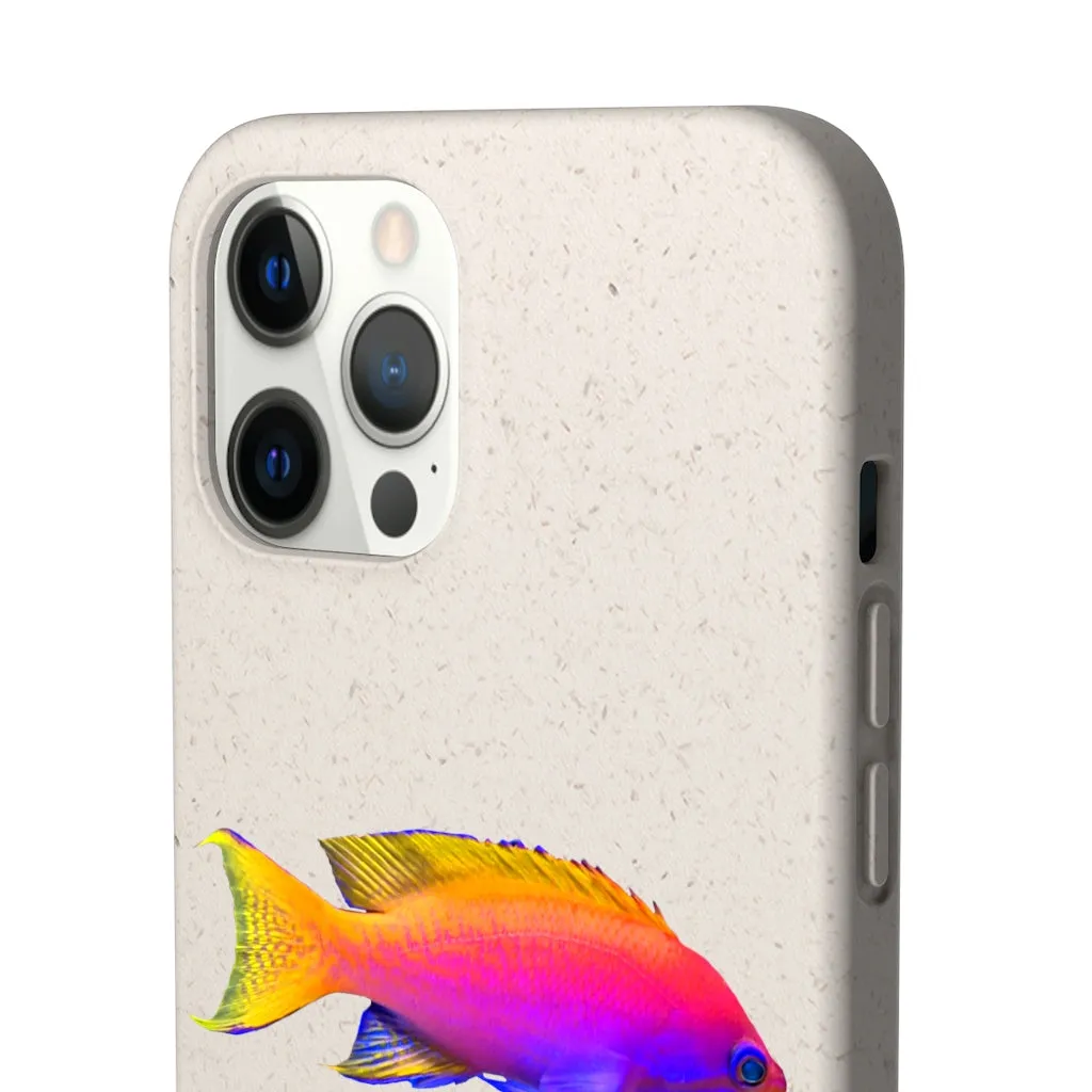 Colored Fish Biodegradable Case