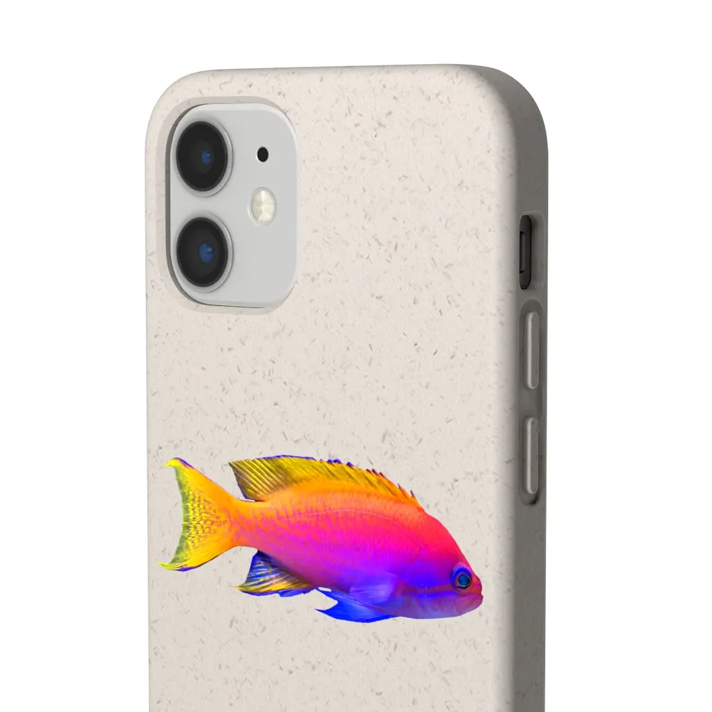 Colored Fish Biodegradable Case