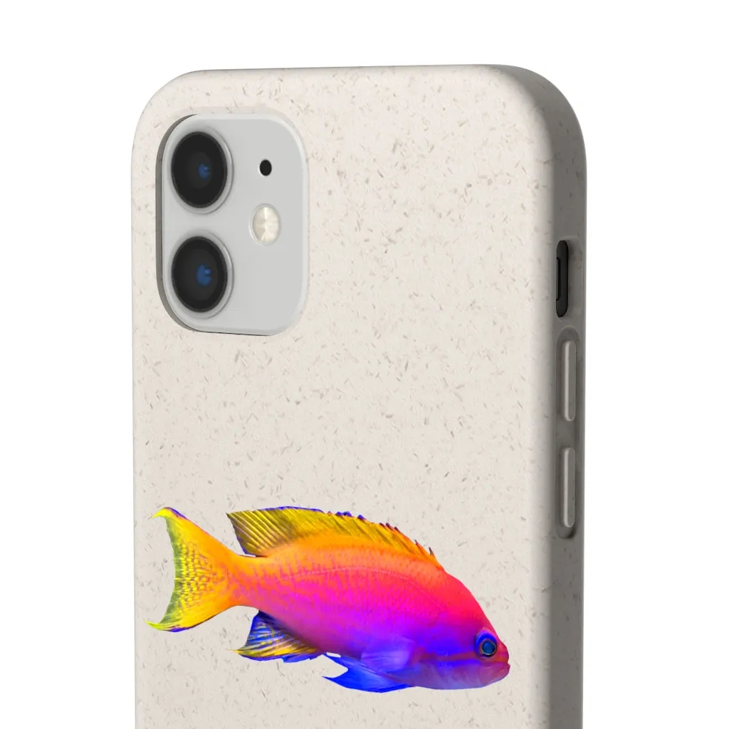 Colored Fish Biodegradable Case