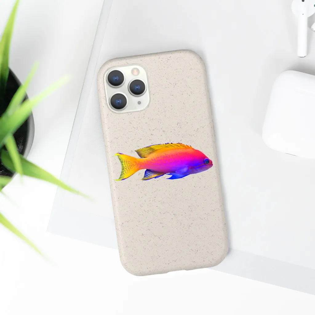 Colored Fish Biodegradable Case