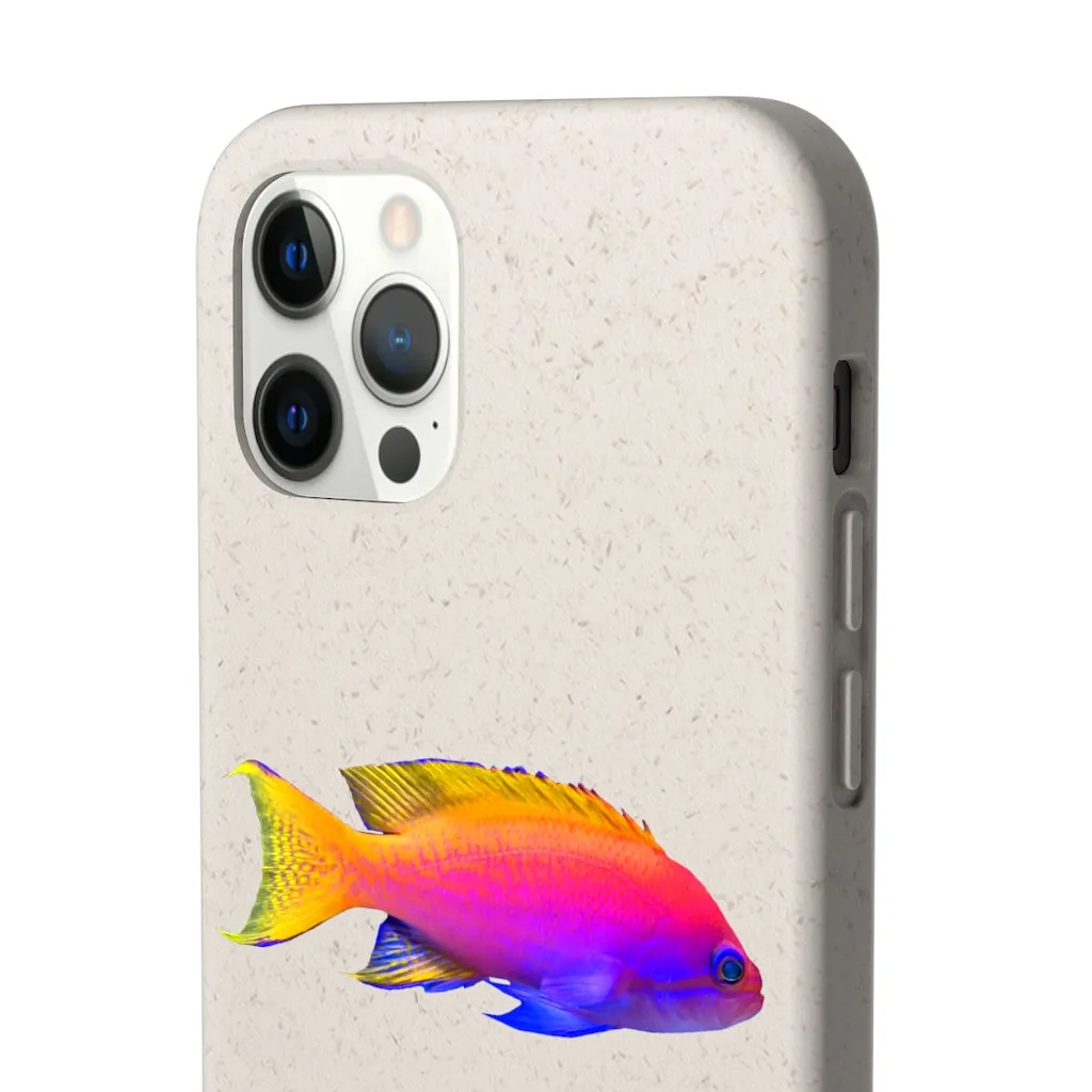 Colored Fish Biodegradable Case