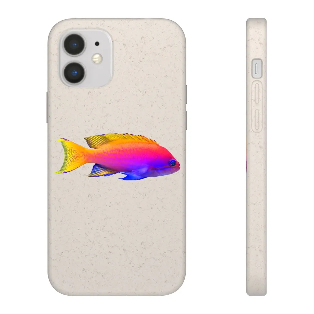 Colored Fish Biodegradable Case