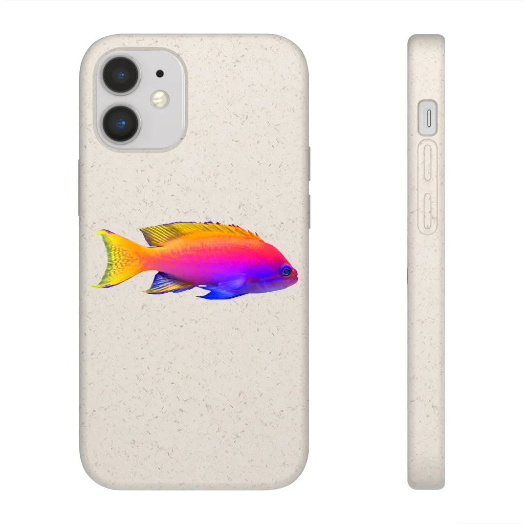 Colored Fish Biodegradable Case