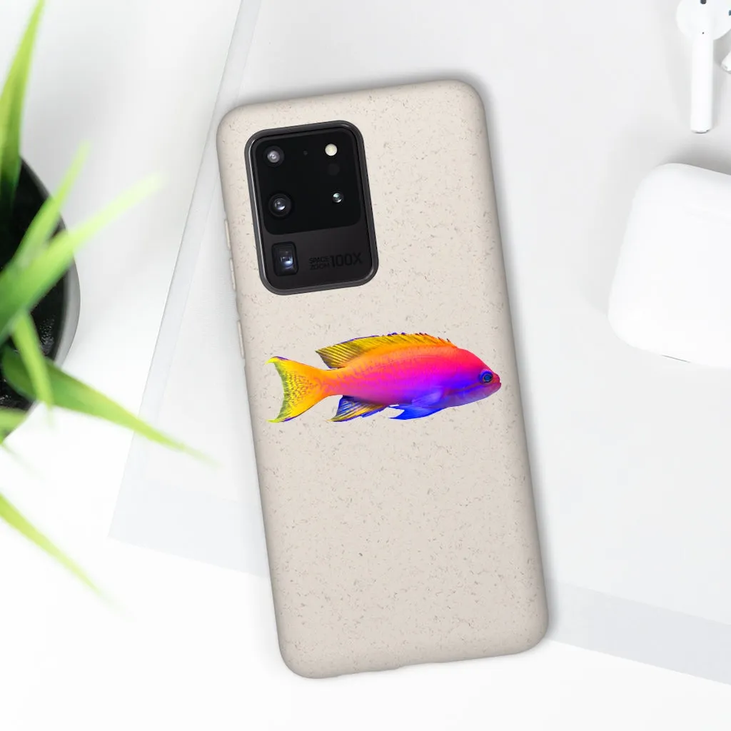 Colored Fish Biodegradable Case