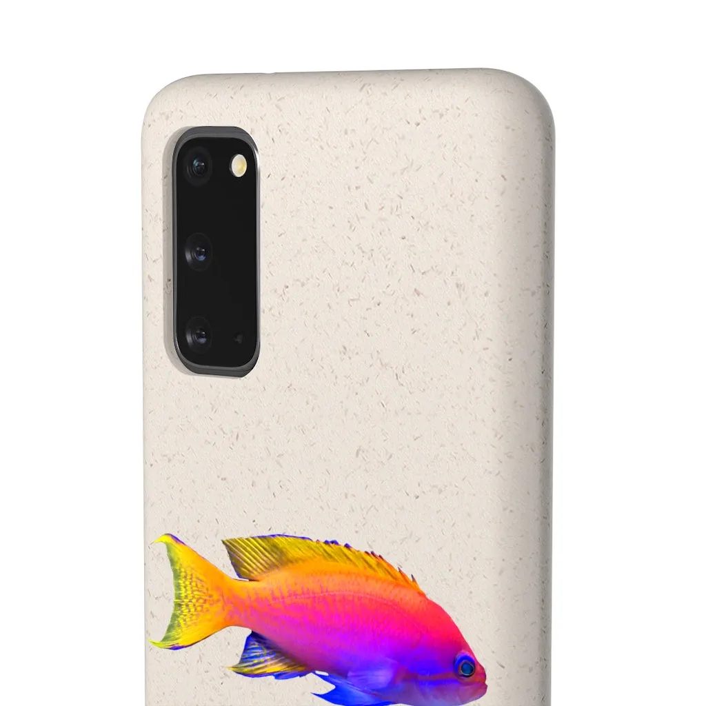 Colored Fish Biodegradable Case