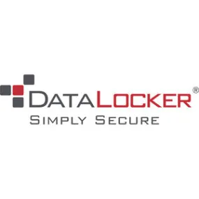 DataLocker SafeConsole Enterprise Server - License - 1 Year