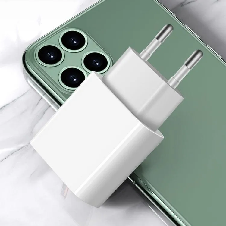 M117 2.4A Fast Charge Travel USB Charger with EU Plug