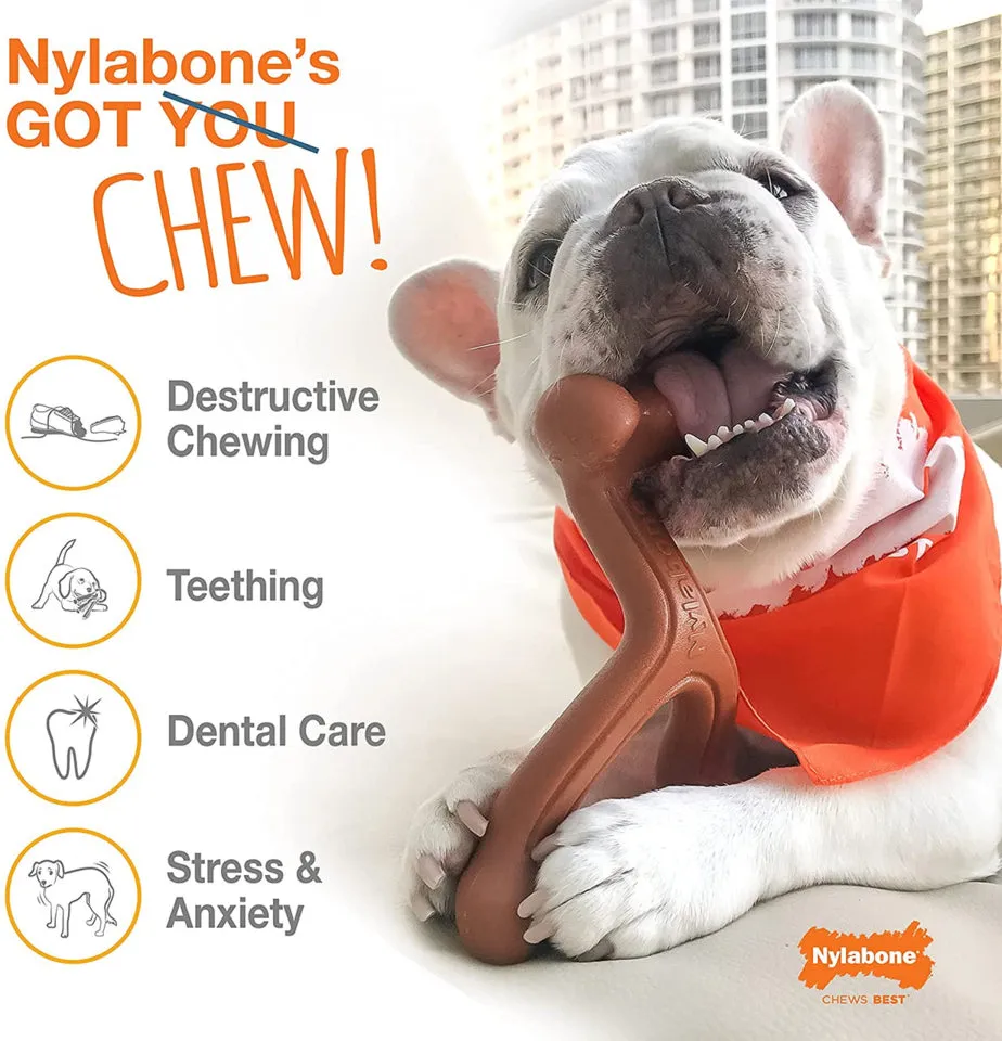 Nylabone Dura Chew Wishbone Bison Dog Toy