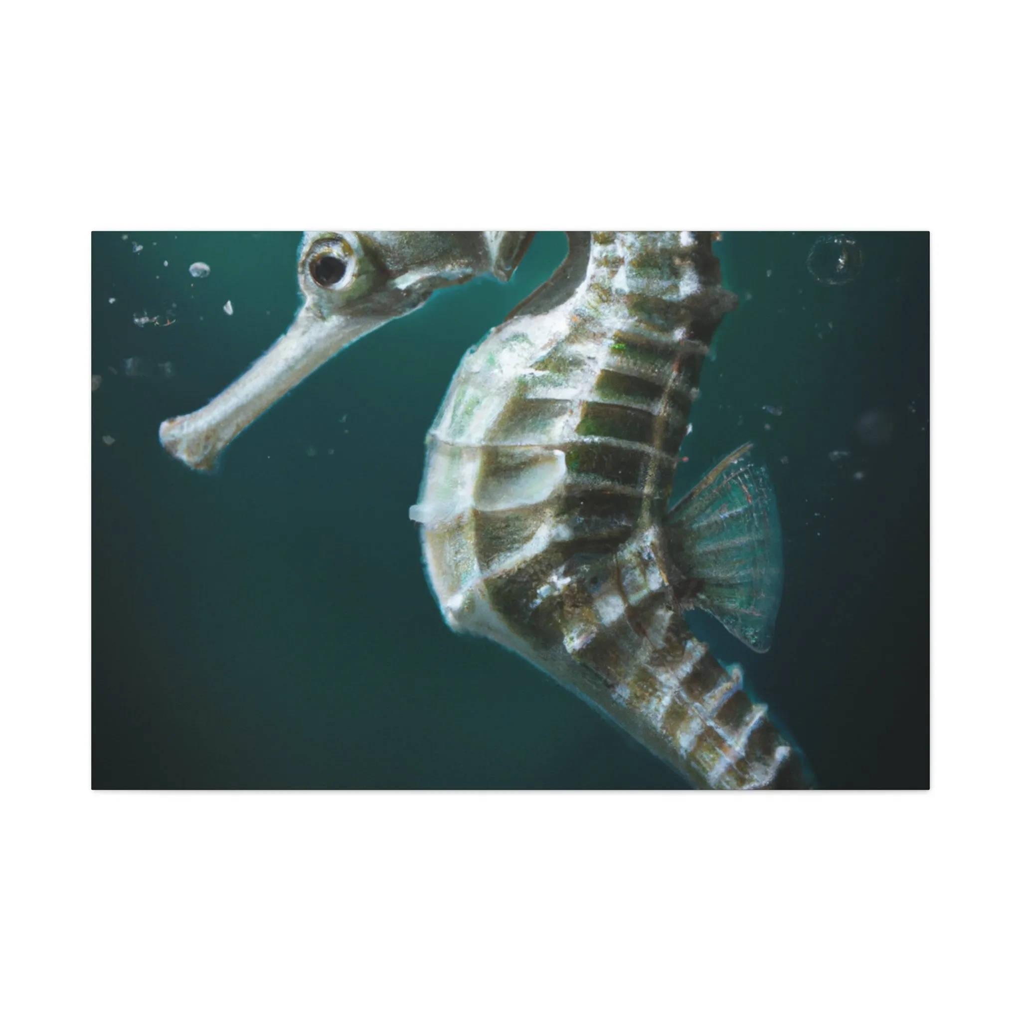 Ocean Seahorse Dreaming - Canvas