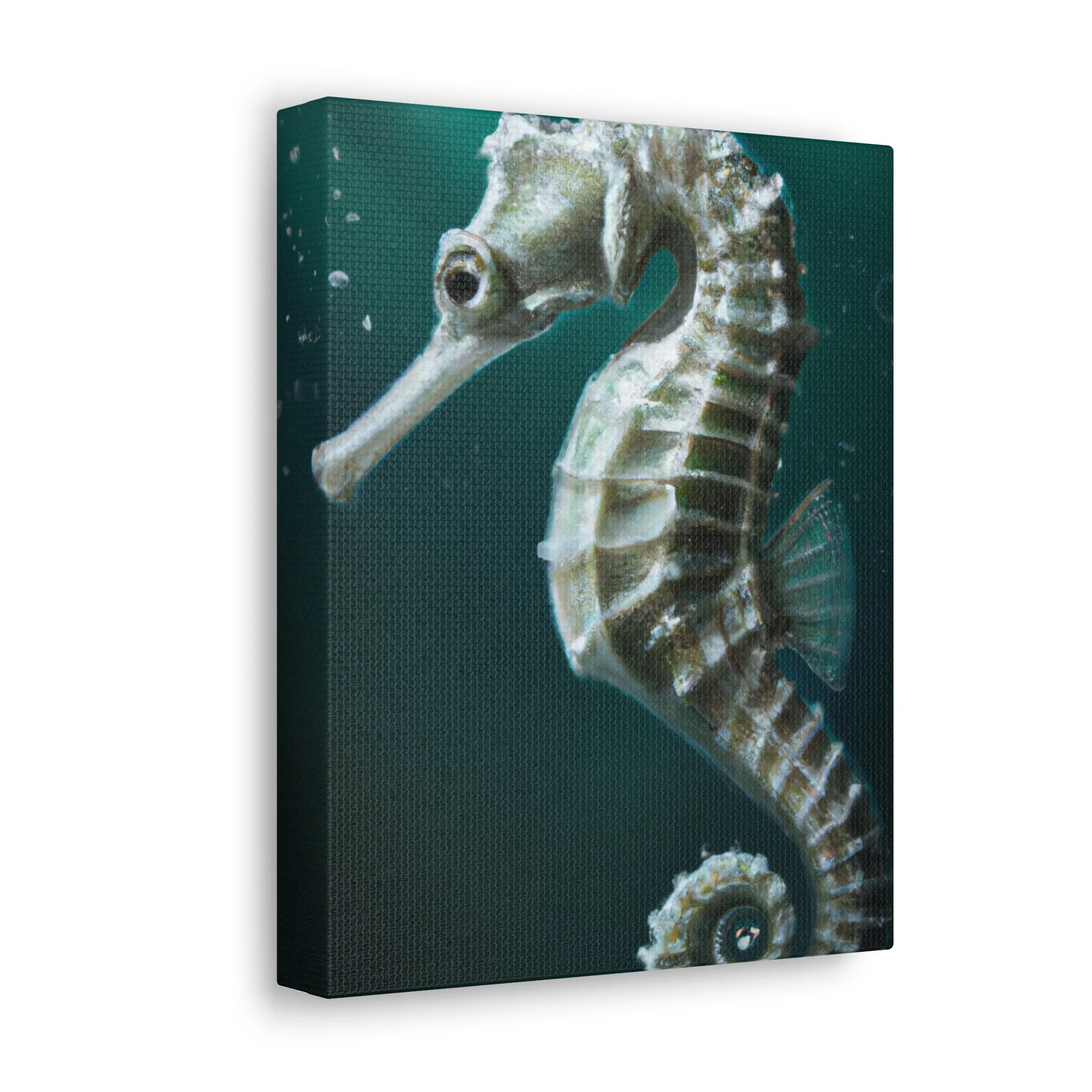 Ocean Seahorse Dreaming - Canvas