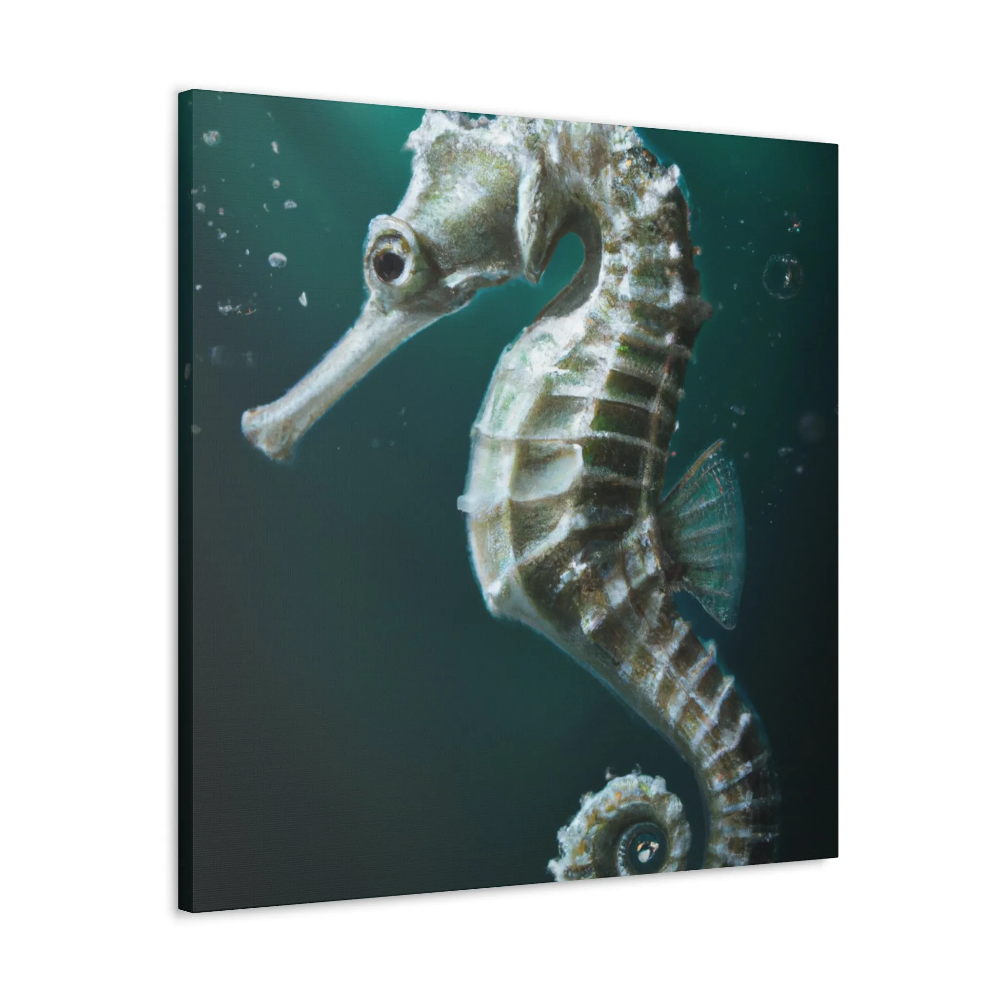 Ocean Seahorse Dreaming - Canvas